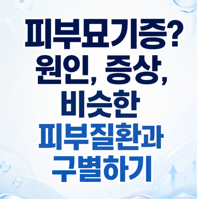 피부묘기증 원인 증상 비슷한 피부질환과 빠르게 구별하기