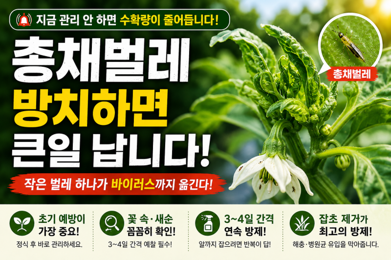 총채벌레, 생각보다 무서운 이유와 효과적인 방제 방법
