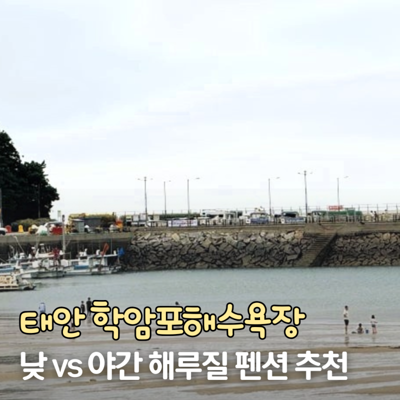 태안 학암포해수욕장 별빛바다글램핑펜션 갯벌 낮 야간 해루질 6월 물때