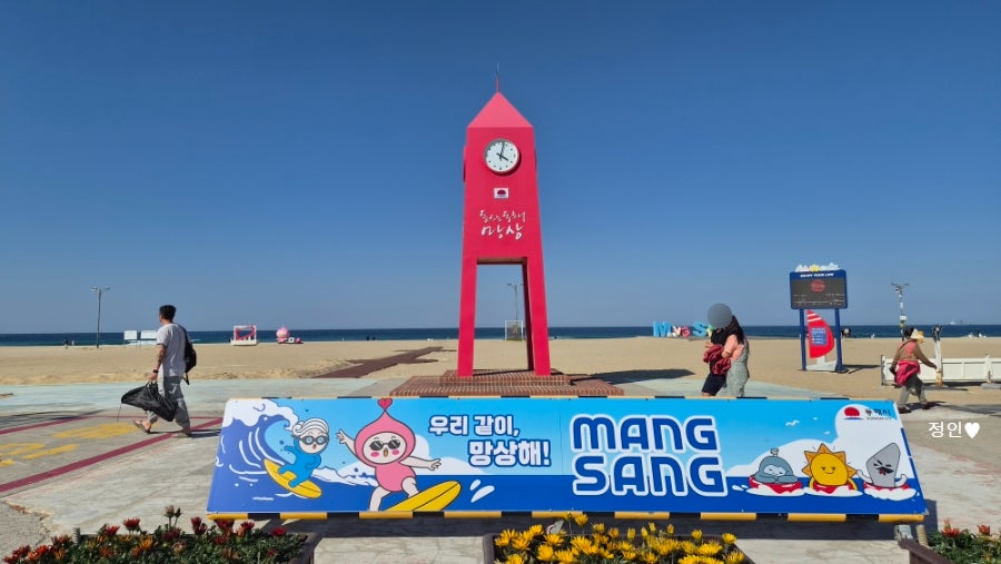 멕시칸치킨 망상해수욕장점 사진 1