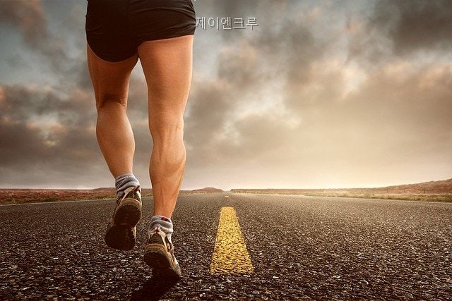 제이엔 사진 5