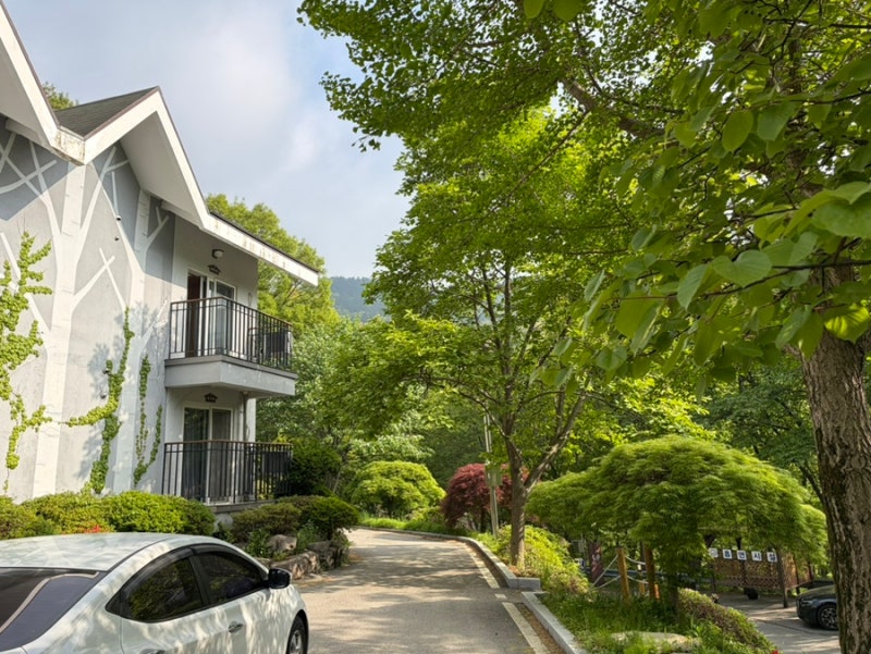 [방장산자연휴양림] 완도 가는 길에 들른 국립휴양림, 4인 가족 5만원 숙박 후기