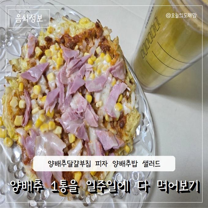 양배추 다이어트 요리 레시피 식단모음_달걀부침 피자 참치샐러드 양배추덮밥