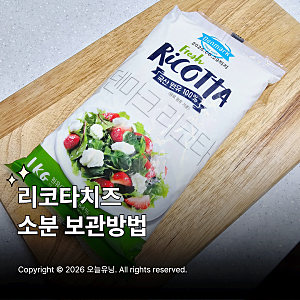 리코타치즈 냉동 보관 소분 하는법