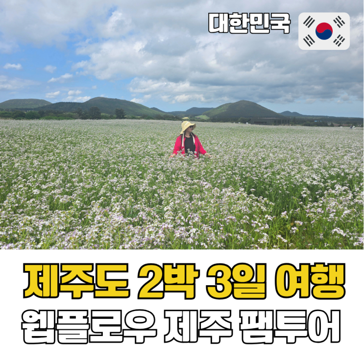 제주도 2박 3일 여행코스 5월 웹플로우 제주 팸투어