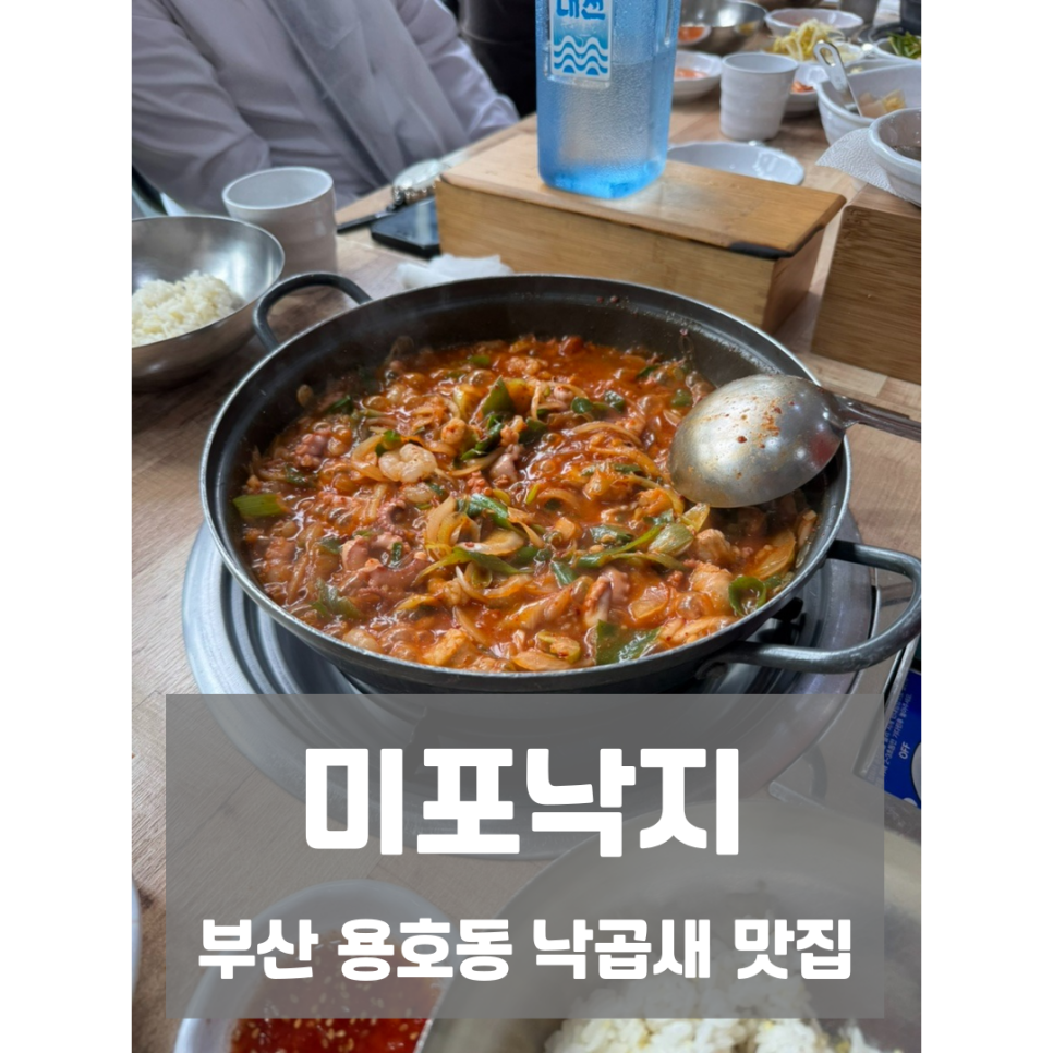 미포낙지 사진 1