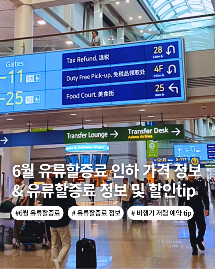  6월 유류할증료 인하 대한항공 아시아나 제주항공 등 국내 헝공사 유류 할증료 금액 여름휴가 해외로 저렴하게 다녀오기 언제 예약해야 하나