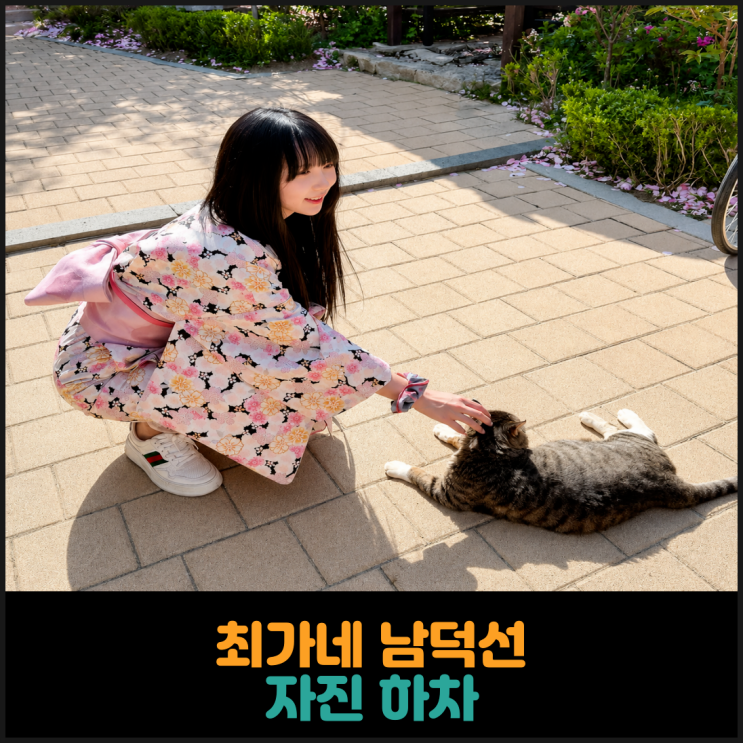  최가네 남덕선 자진 하차