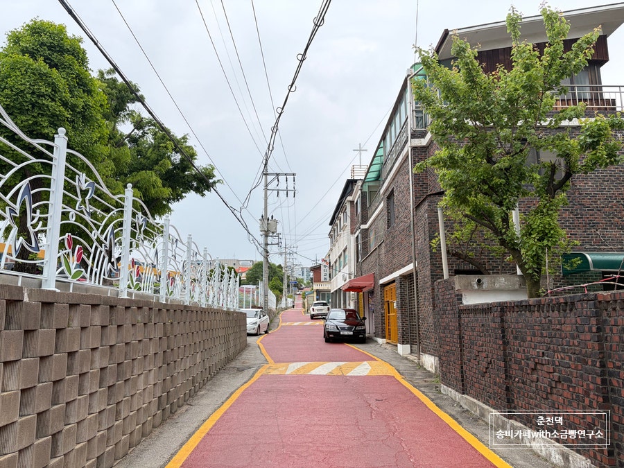 Songbikape photo 1