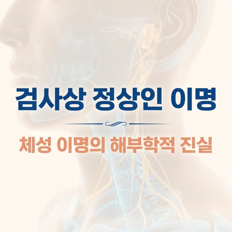  이비인후과 검사는 정상? 턱관절과 목근육이 조여 만든 '체성 이명'