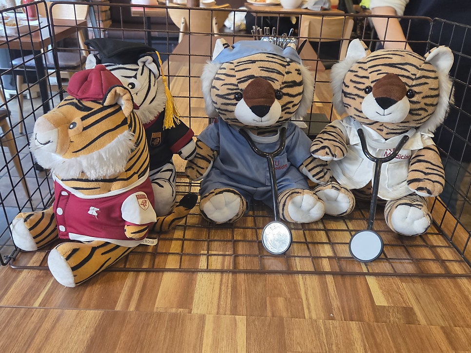 고래돈가스 고대점 사진 6
