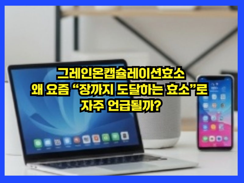 그레인온캡슐레이션효소, 왜 요즘 “장까지 도달하는 효소”로 자주 언급될까?