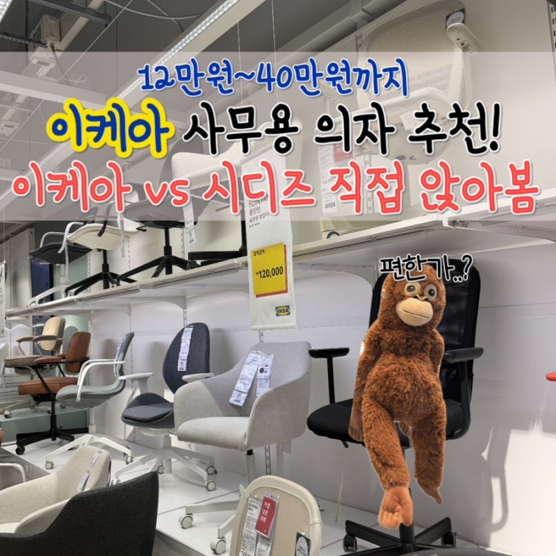이케아 의자 vs 시디즈 T50,T60 AIR, 사무용 의자 가격대별 어디까지 차이날까?