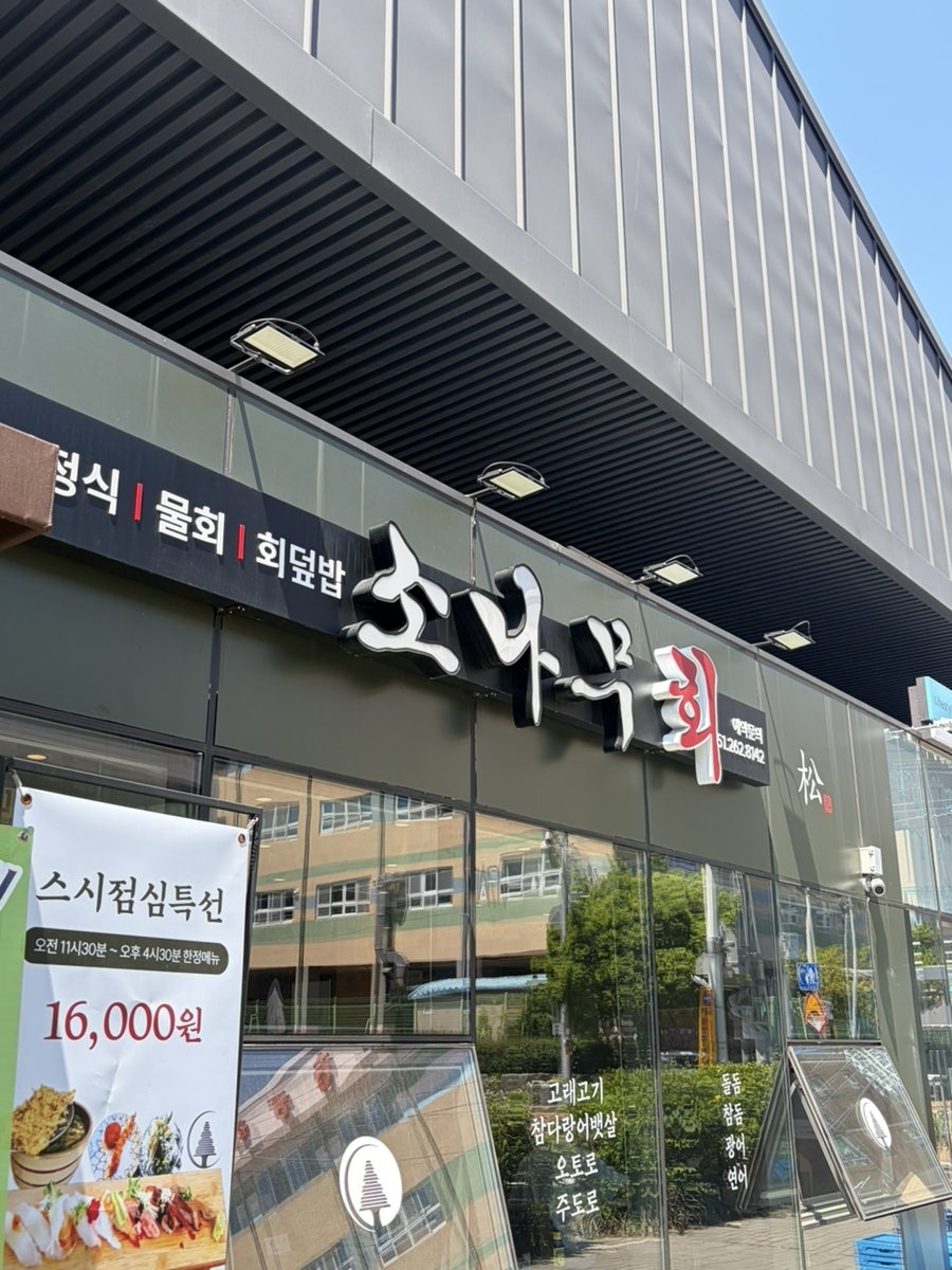 소나무회 사진 1