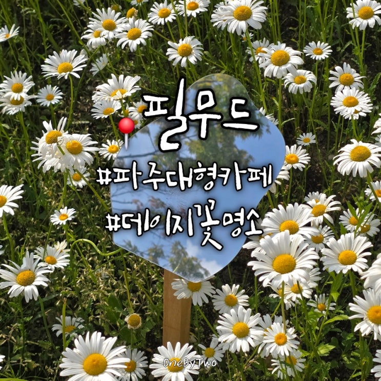  파주 마장호수 근처 대형카페 데이지 꽃 명소 필무드 | 애견 동반 키즈 케어존