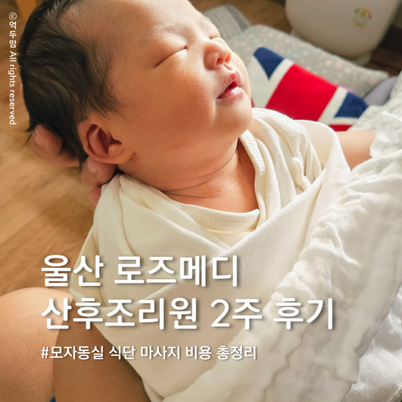 울산 동구 로즈메디 산후조리원 지원금 비용 식단 마사지 모자동실