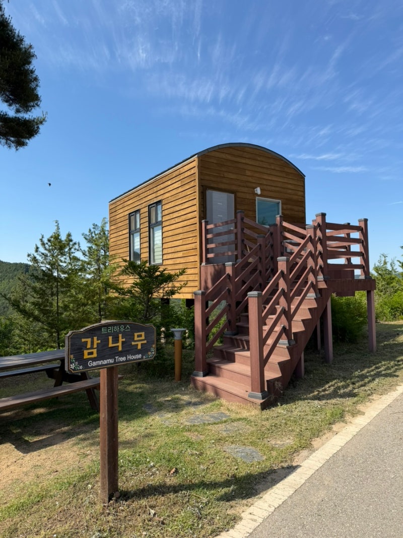 무주 향로산 자연휴양림 감나무집 트리하우스 후기 | 예약 꿀팁부터 모노레일까지