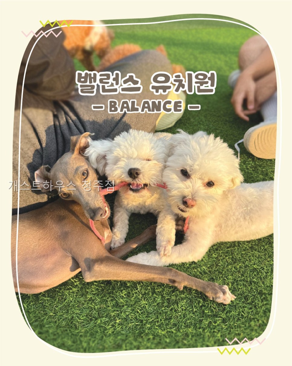개스트하우스 청주점 사진 1