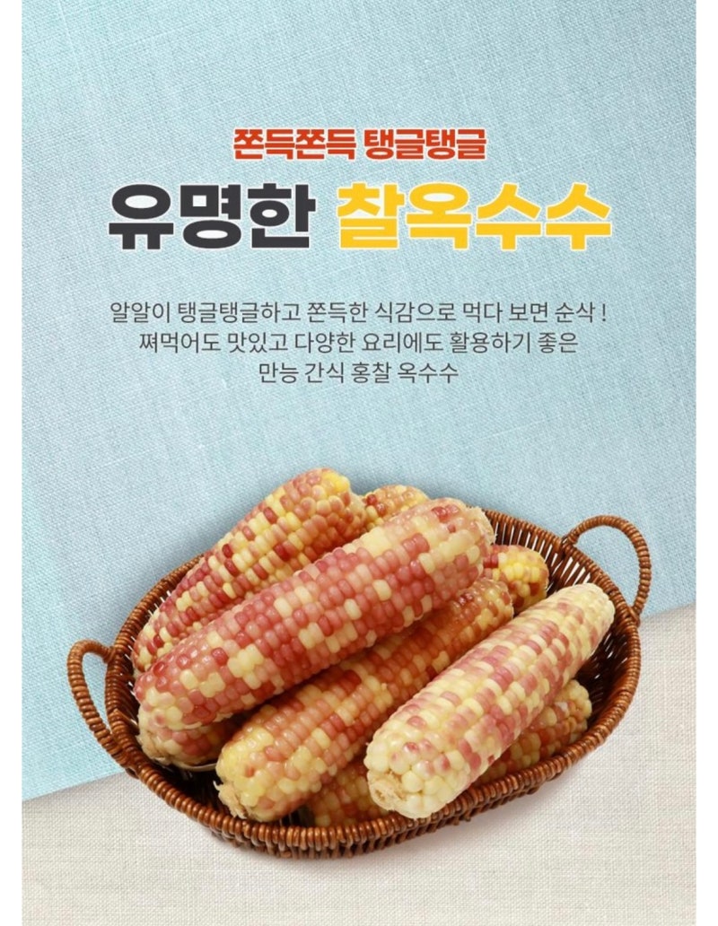 유명한 옥수수 홍찰 쫀득한 찰옥수수 냉동 옥수수