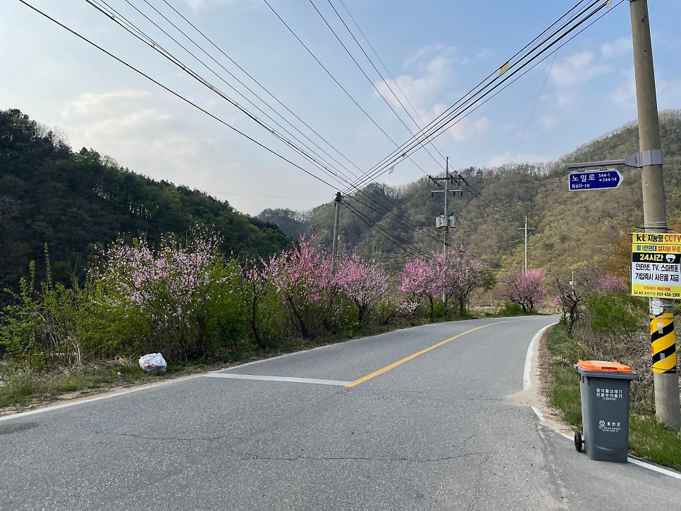 비발디캠핑파크 노일점 사진 5