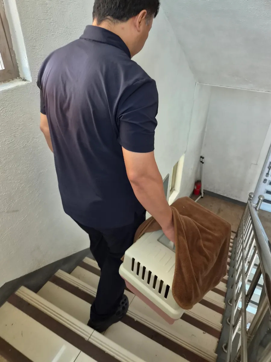 중문동물병원 사진 5