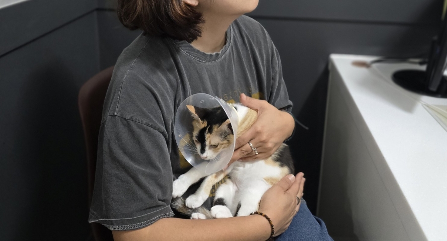 중문동물병원 사진 2