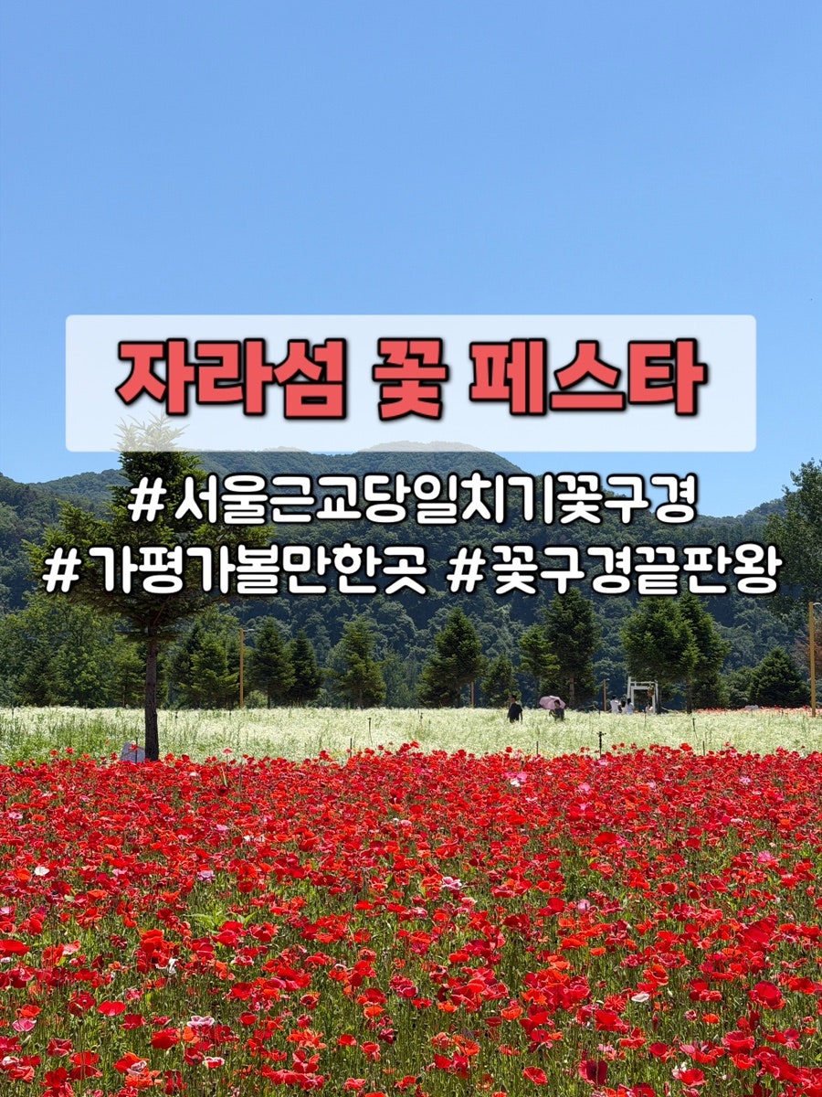 88제육 가평점 사진 1