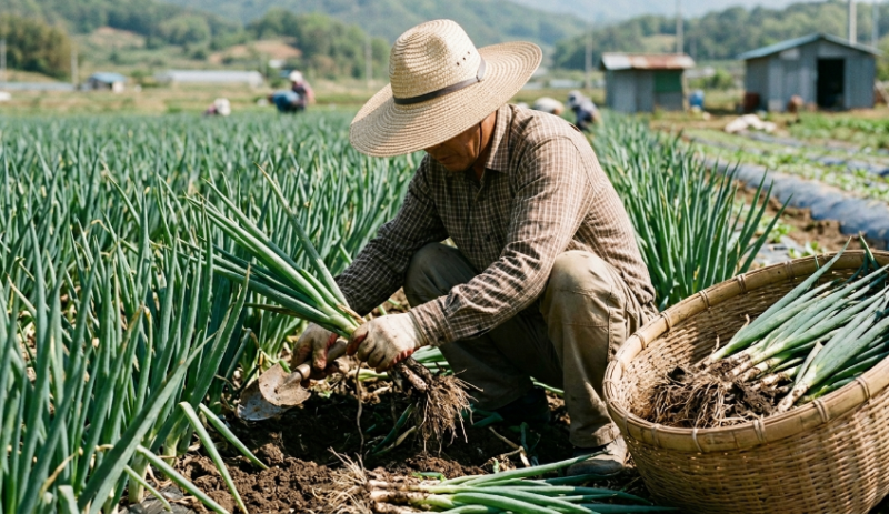 대파 보관법 냉장 냉동 유통기한 다이소 진공반찬통 소주 꿀팀 총정리