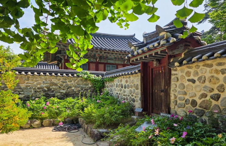  영주 소수서원 아이와 가족여행 가볼한만 곳 추천 (입장료, 주차, 체험)