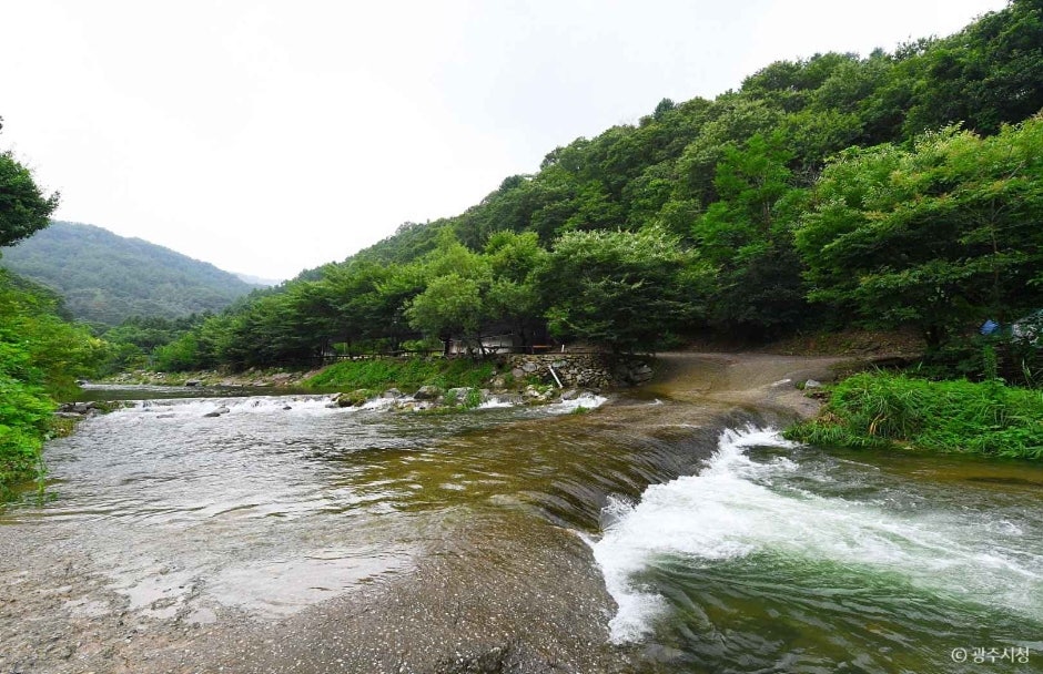 안골유원지 사진 6
