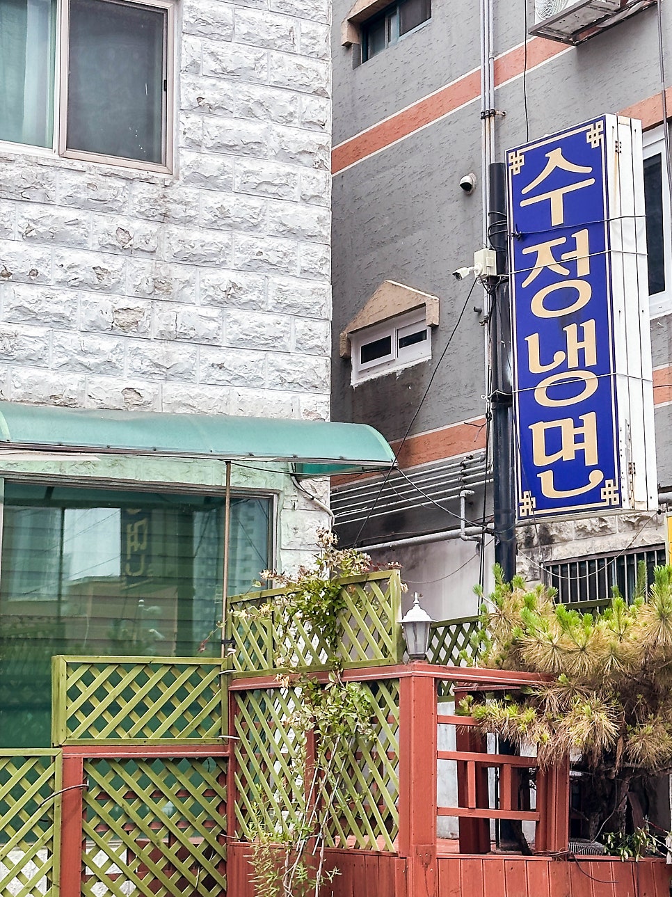 수정냉면 사진 2