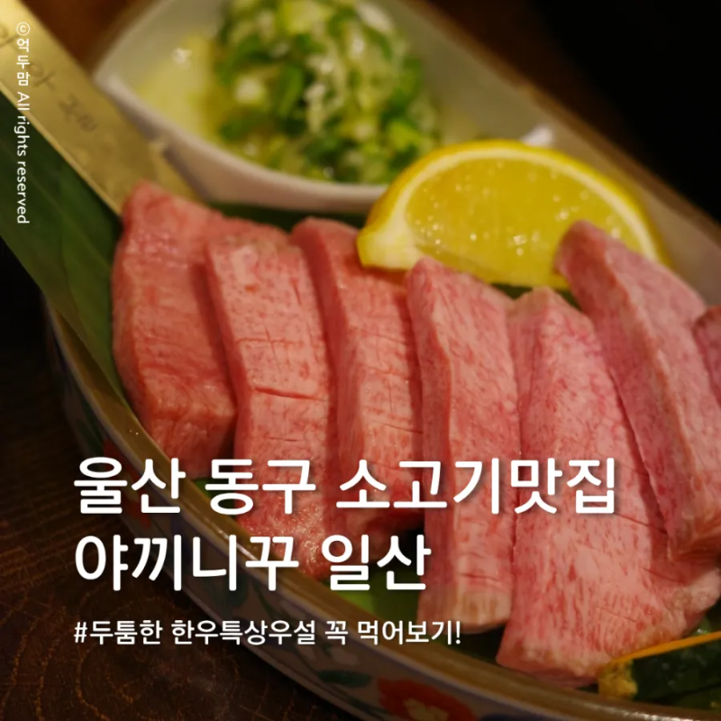 울산 동구 소고기 맛집 야끼니꾸 일산, 분위기 좋은 데이트 코스