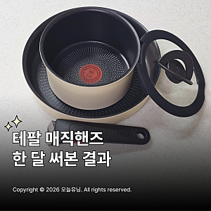 테팔 매직핸즈 세트 손잡이 써보고 알게 된 솔직 후기