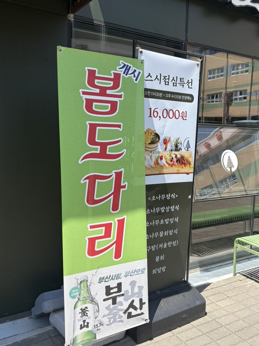 소나무회 사진 3