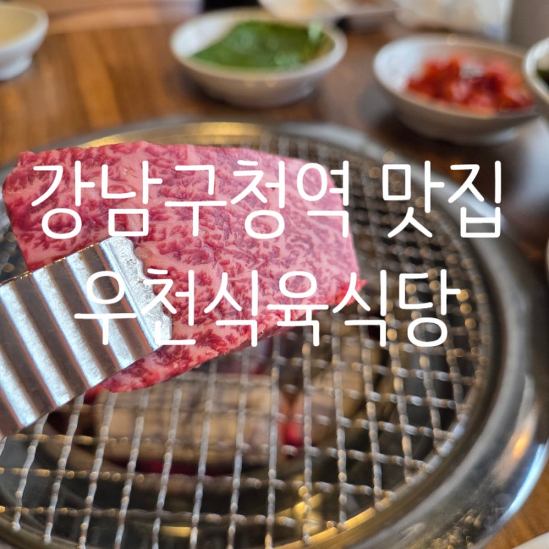 강남구청역 점심 맛집 한우 고기집 논현 룸식당 우천식육식당