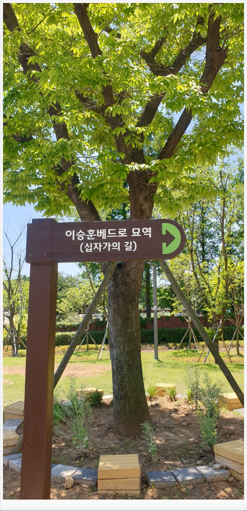 인천 장수동 이승훈 베드로 묘역 ‘십자가의 길’ 2026년 5월 31일