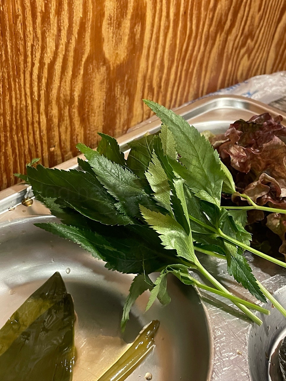 아부지하면돼지 사진 4