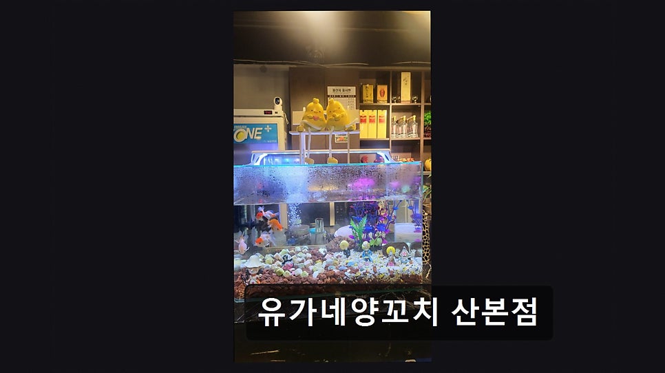 유가네양꼬치 사진 2