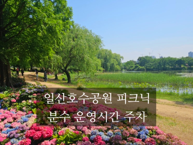  일산호수공원 분수 운영시간 주차