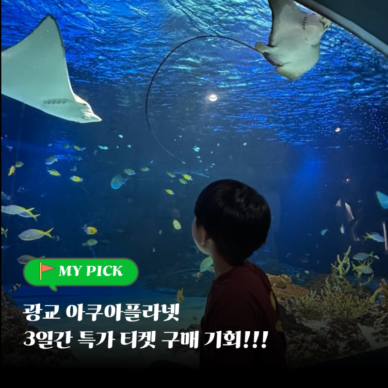 수원 광교 아쿠아리움 아쿠아플라넷 41%할인 (주차시간, 요금)