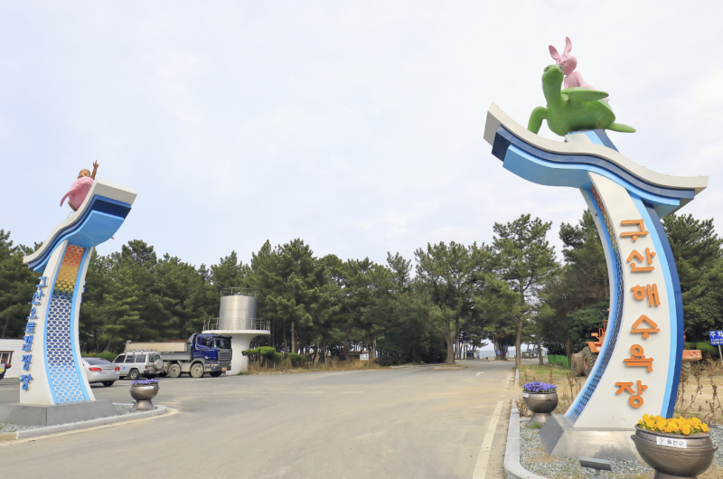 [울진 구산해수욕장] 금강소나무 숲 피크닉 명당 & 얕은 수심 조개잡이 실전 요약