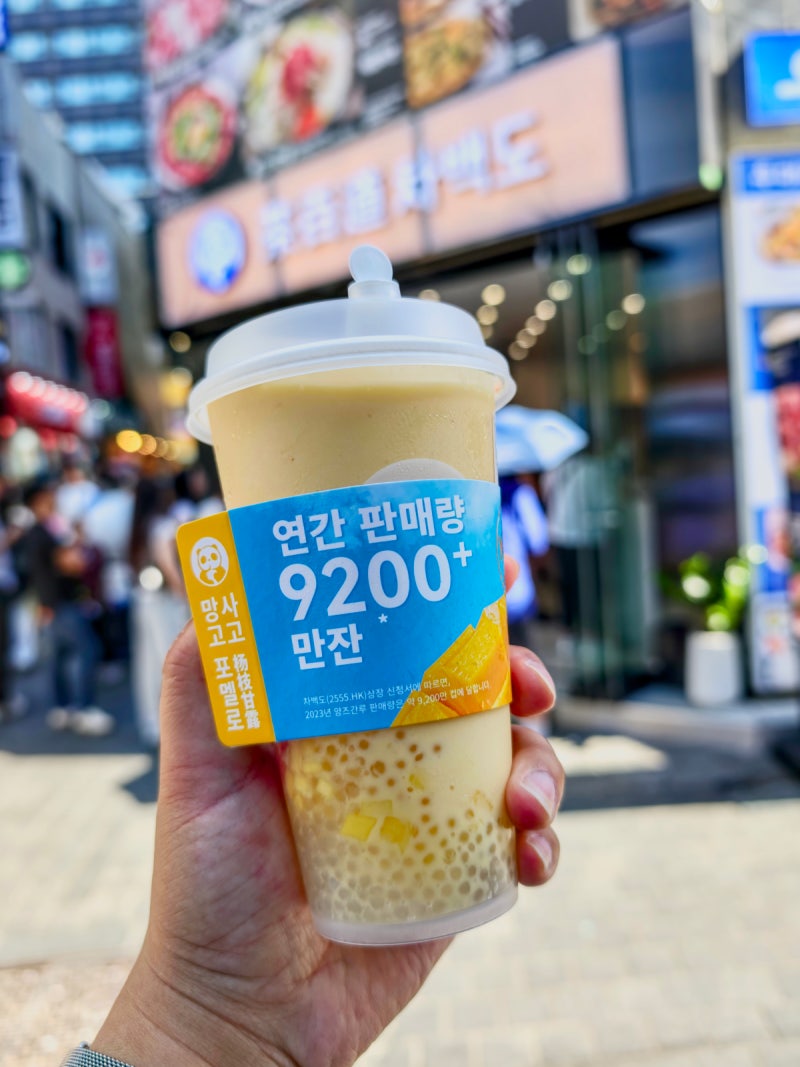 명동 차백도 메뉴 추천 망고 포멜로 사고 우롱 라떼 후기