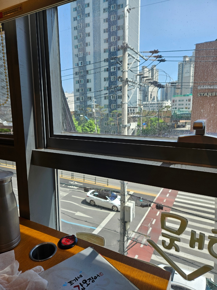 조가네갑오징어 비산점 사진 4