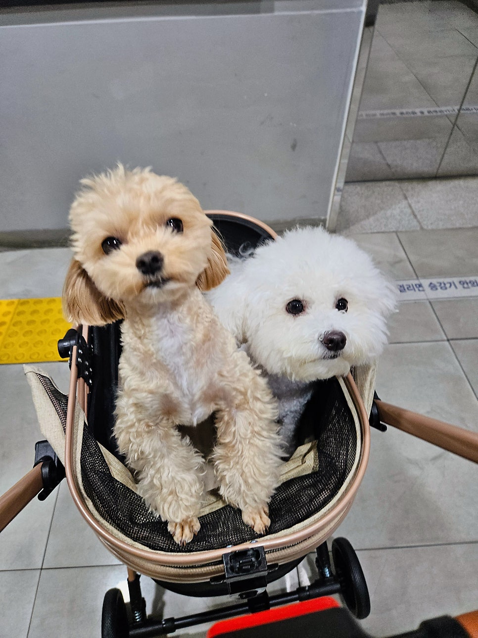 충청도횟집 사진 5