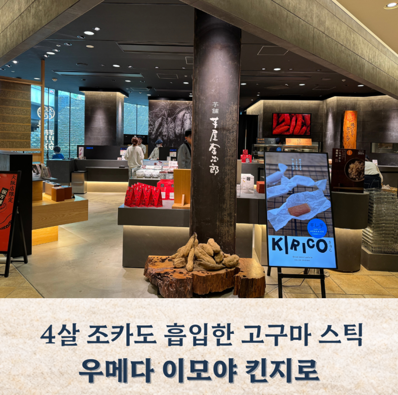 오사카 우메다 간식 추천, 후쿠오카에서 못 먹고 후회했던 이모야 킨지로 고구마 스틱 후기