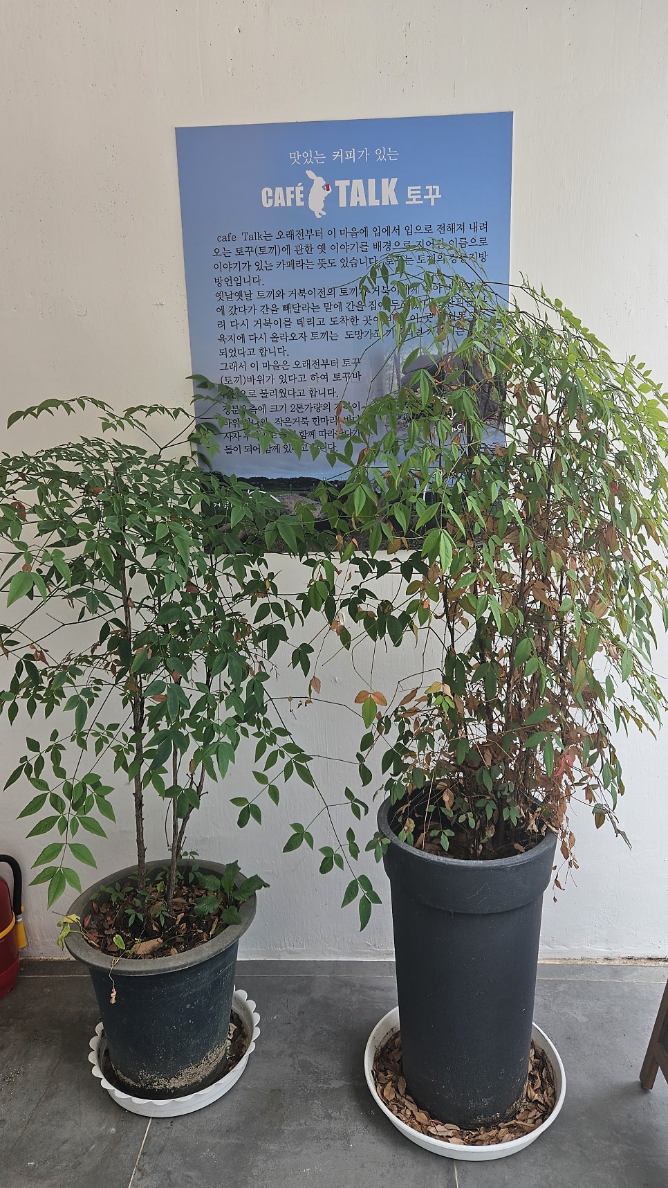 일식당종화 사진 6