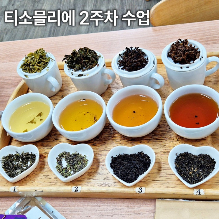  티소믈리에 2급 과정 2주차 수강후기 동방미인에 반하다