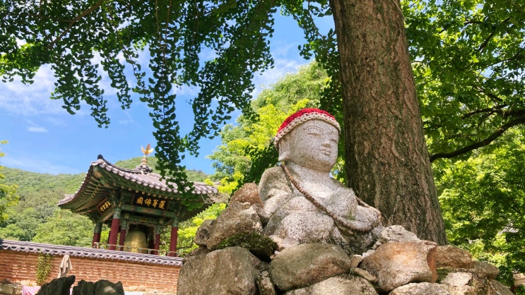  보성 대원사.. 태아령이란 말에 숙연해졌던 작은 사찰