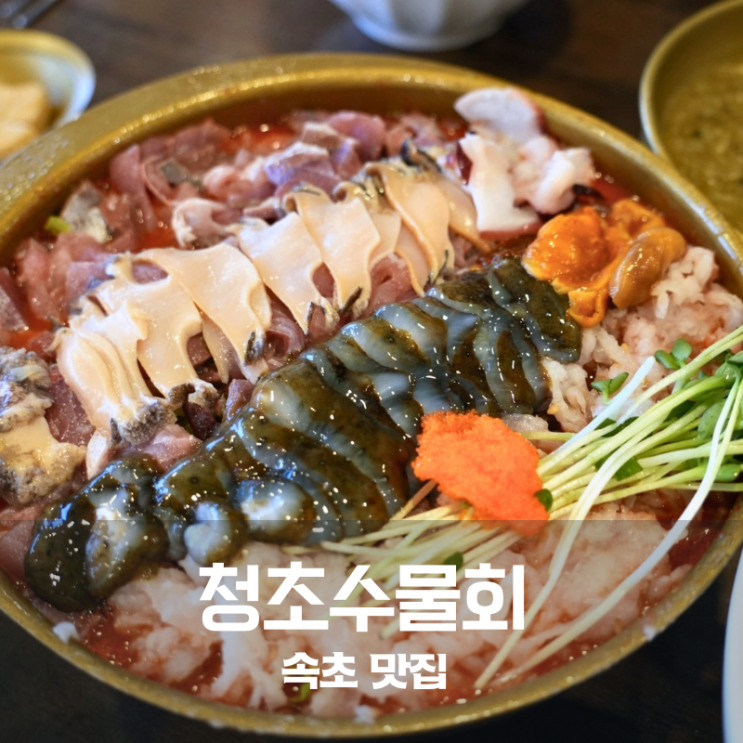  속초 청초수물회 물회 성게알비빔밥 전복죽 솔직 담백한 리뷰