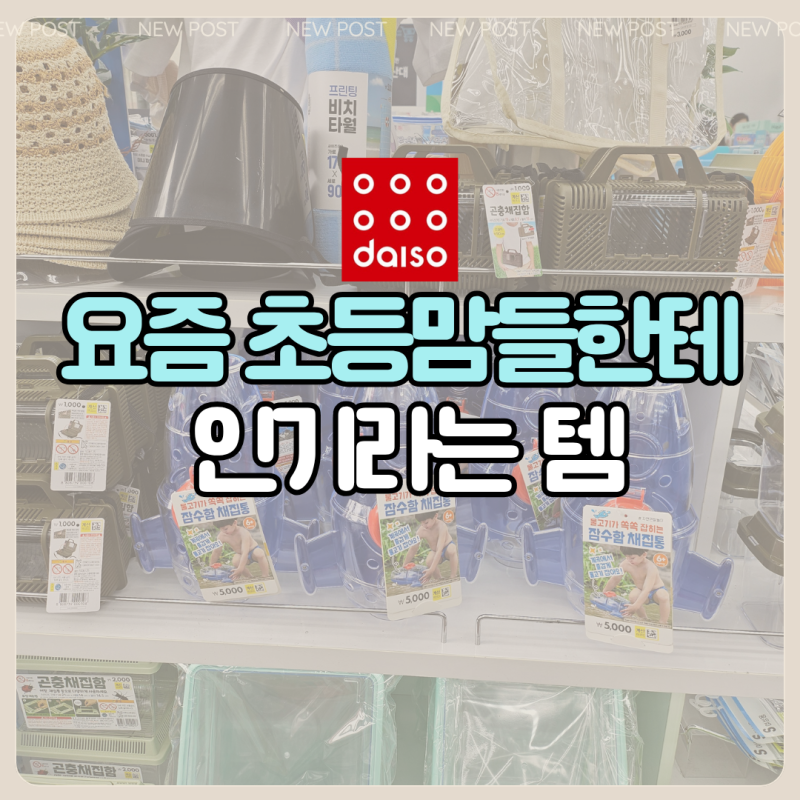 '요즘 초등맘들한테 인기라는데?' 다이소 곤충채집함 4종